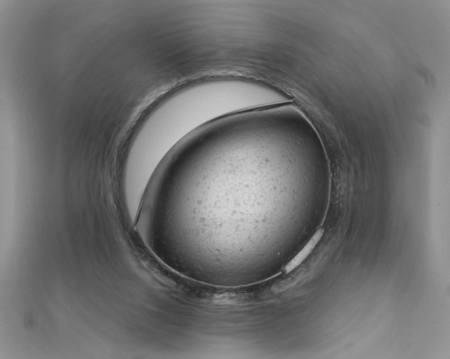 X0000112780064200908201537