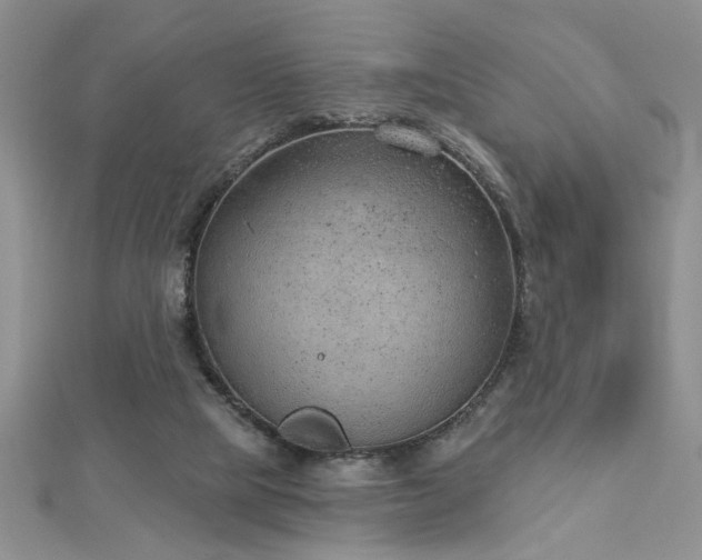 X0000112780065200908201537