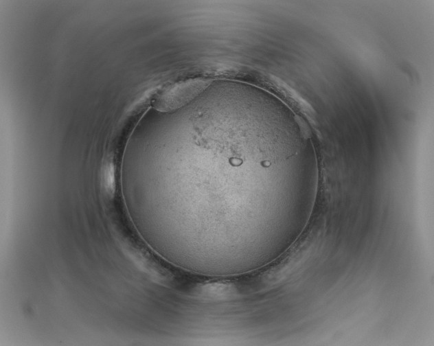 X0000112780067200908201537