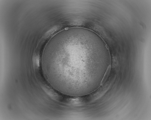 X0000112780068200908201537