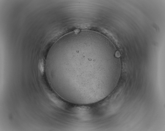 X0000112780069200908201537