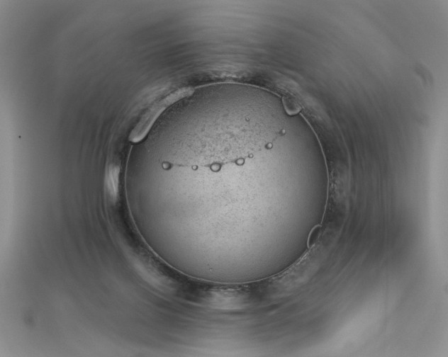 X0000112780070200908201537