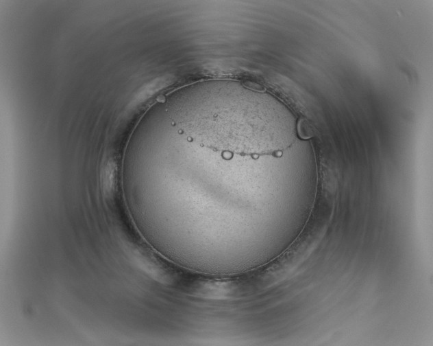 X0000112780071200908201537