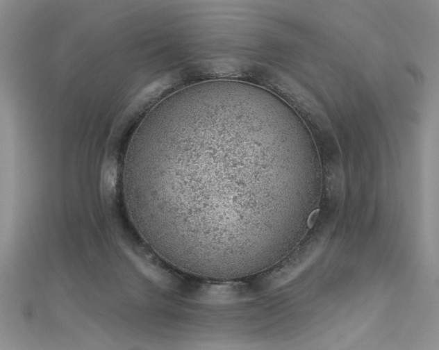 X0000112780072200908201537