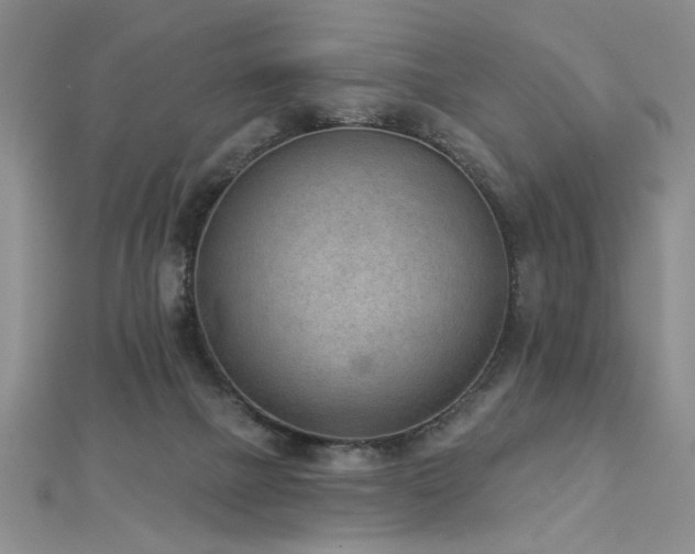 X0000112780073200908201537