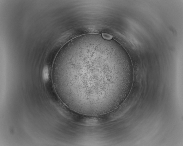 X0000112780075200908201537