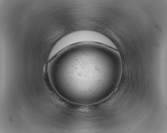 X0000112780076200908201537