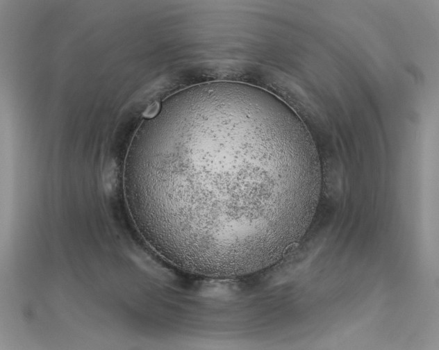 X0000112780077200908201537