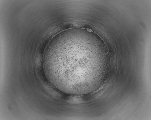 X0000112780078200908201537