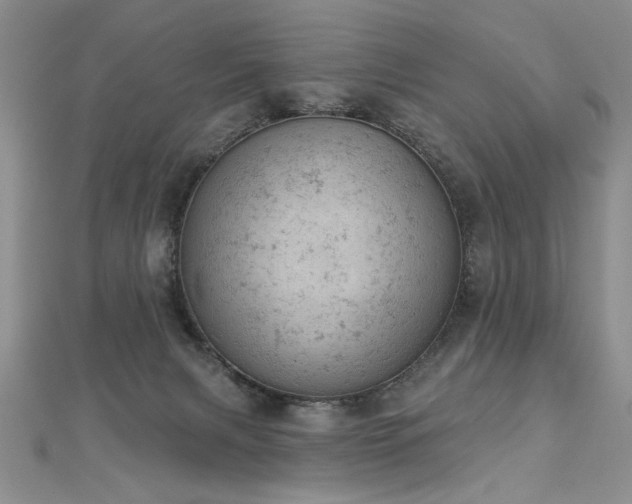 X0000112780079200908201537