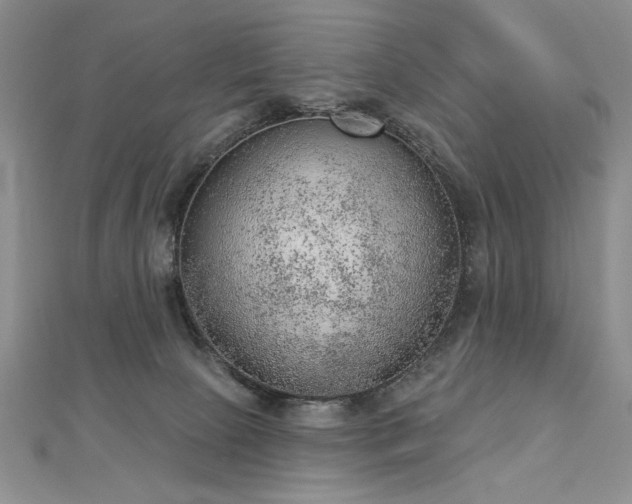 X0000112780081200908201537