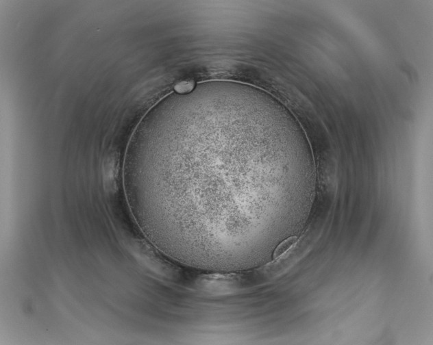 X0000112780082200908201537