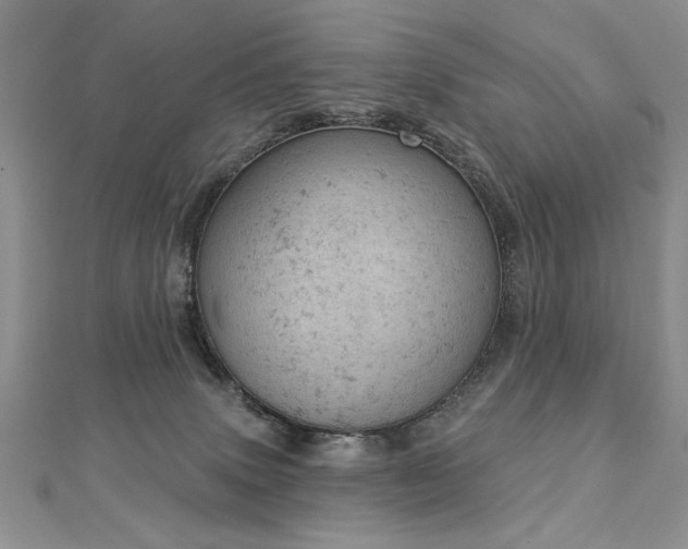 X0000112780083200908201537