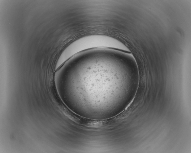 X0000112780084200908201537