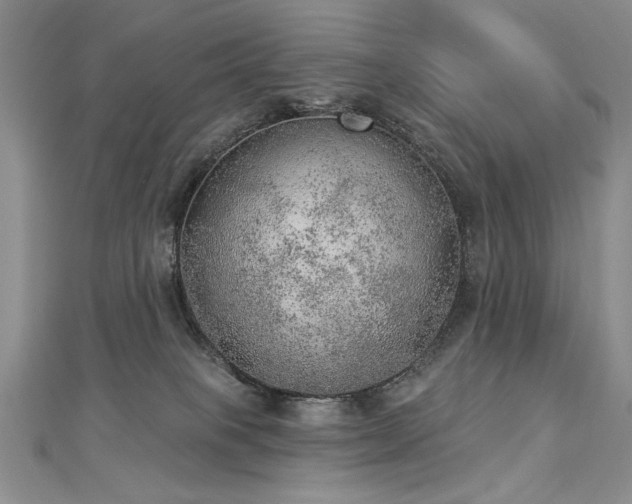 X0000112780085200908201537