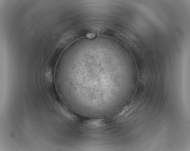 X0000112780086200908201537