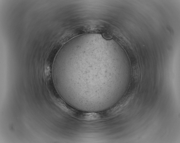 X0000112780087200908201537