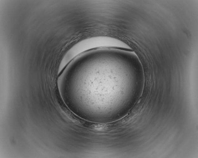 X0000112780088200908201537