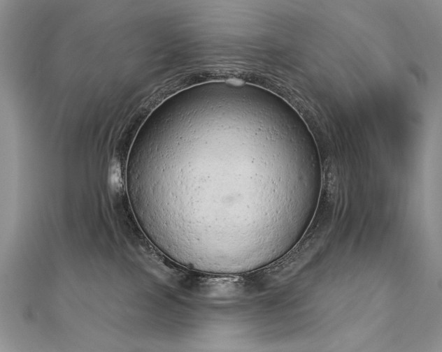 X0000112780089200908201537