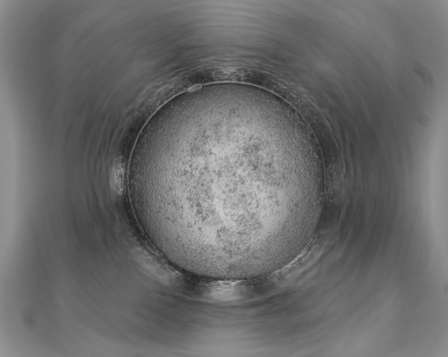 X0000112780090200908201538