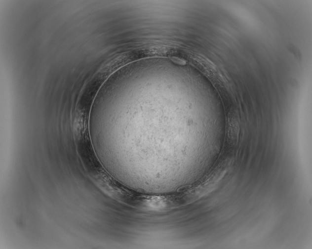 X0000112780091200908201538