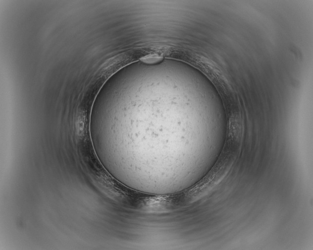 X0000112780092200908201538