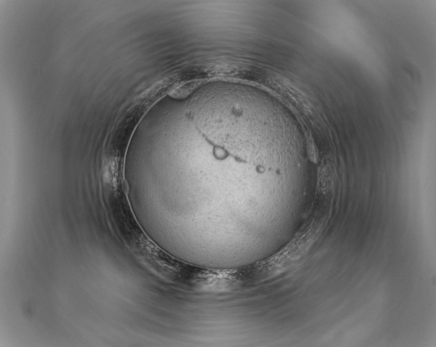 X0000112780093200908201538