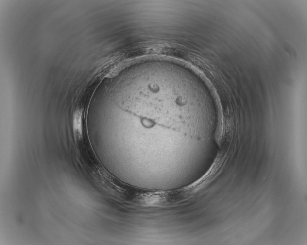 X0000112780094200908201538