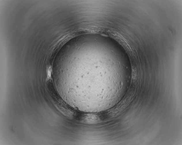 X0000112780095200908201538