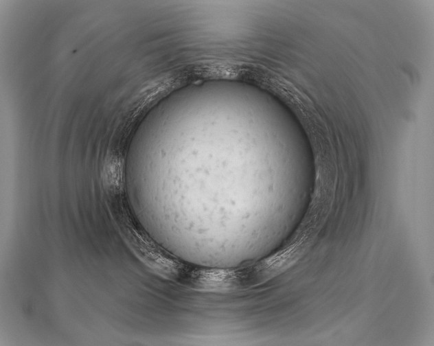 X0000112780096200908201538