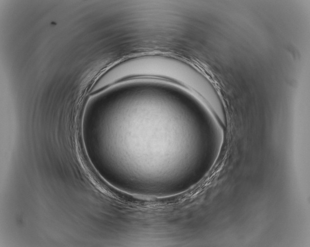 X0000112780097200908201537