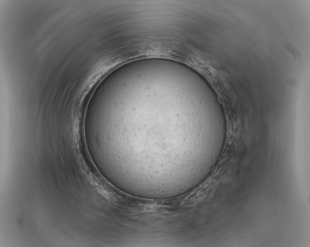 X0000112780098200908201537