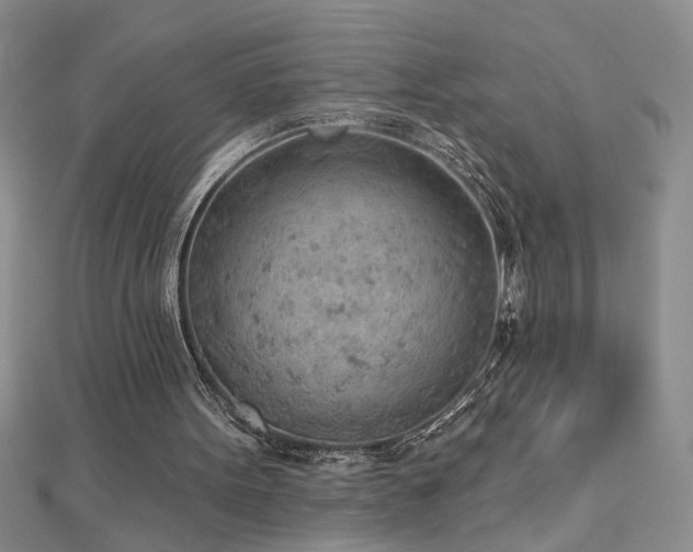 X0000112780099200908201537