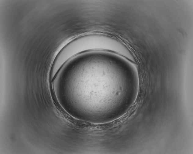 X0000112780100200908201537