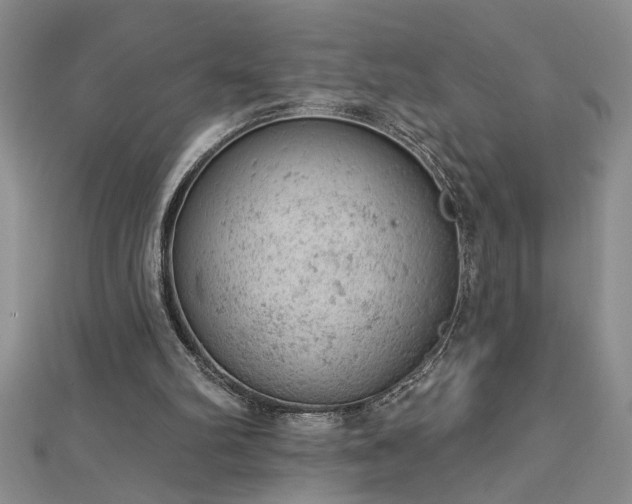 X0000112780102200908201537