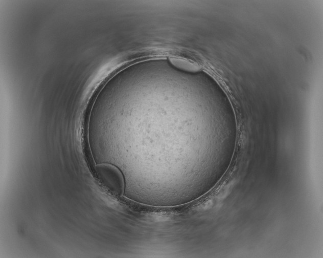 X0000112780103200908201537