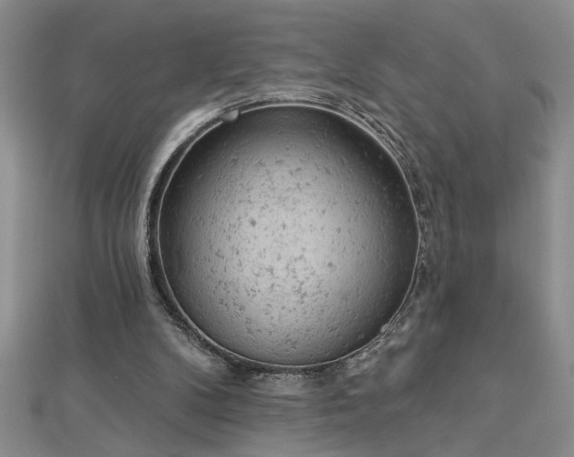 X0000112780104200908201537