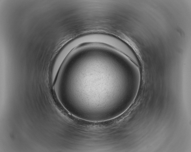 X0000112780105200908201537