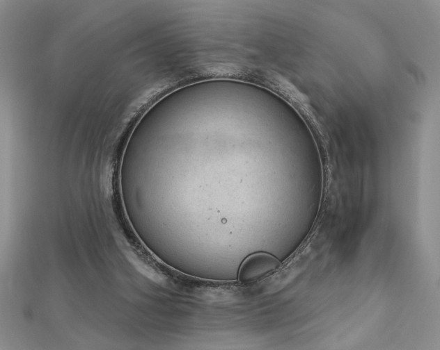 X0000112780106200908201537