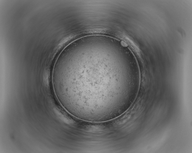 X0000112780107200908201537