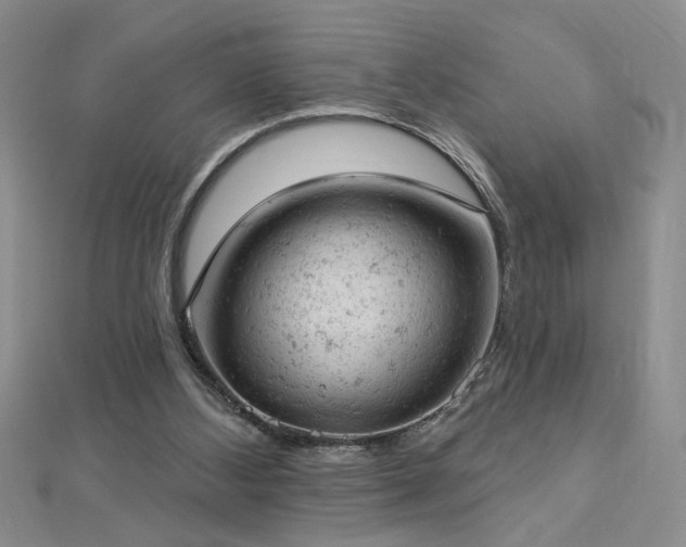 X0000112780108200908201537