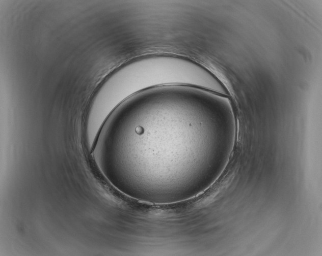 X0000112780109200908201537