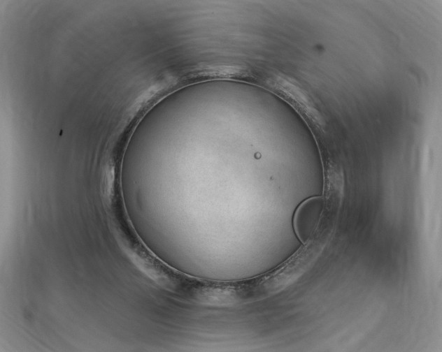 X0000112780110200908201537