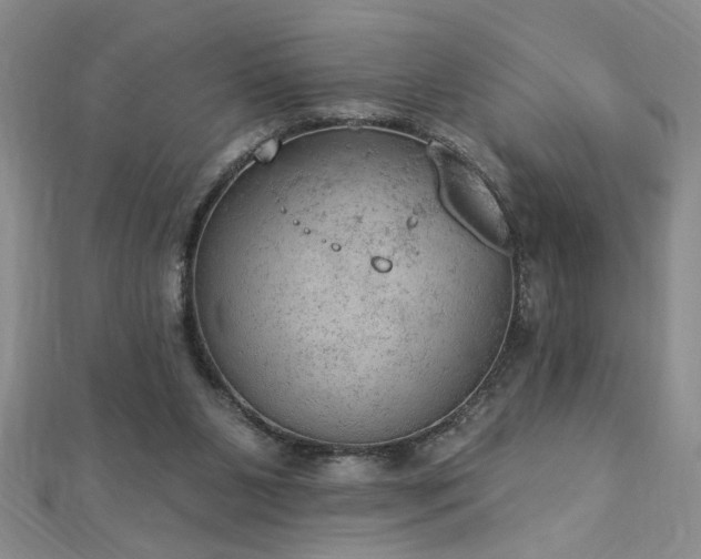 X0000112780111200908201537