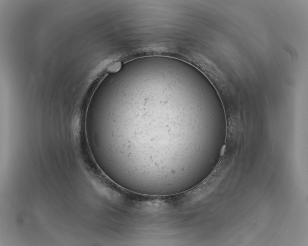 X0000112780112200908201537