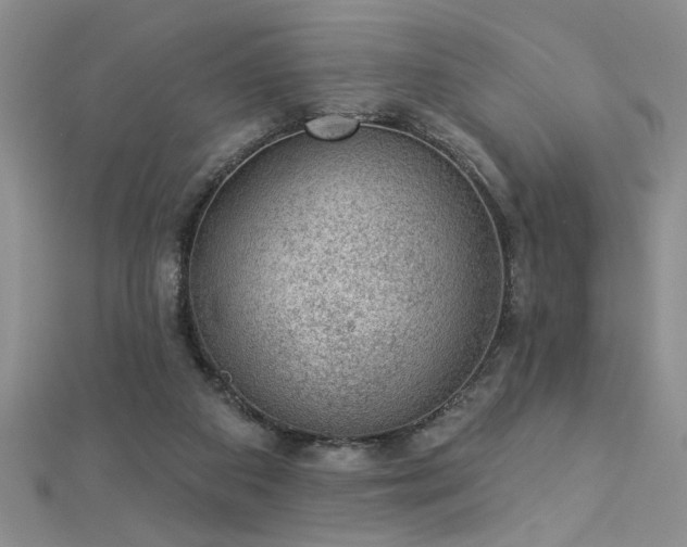 X0000112780113200908201537