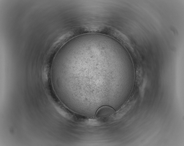 X0000112780114200908201537