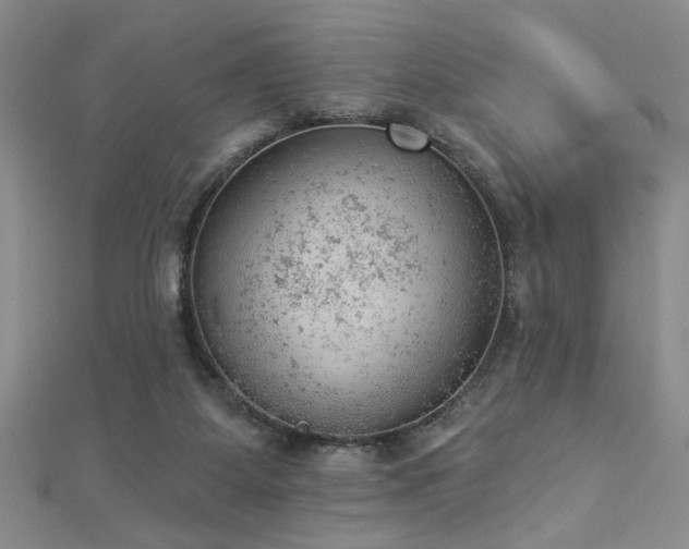 X0000112780115200908201537