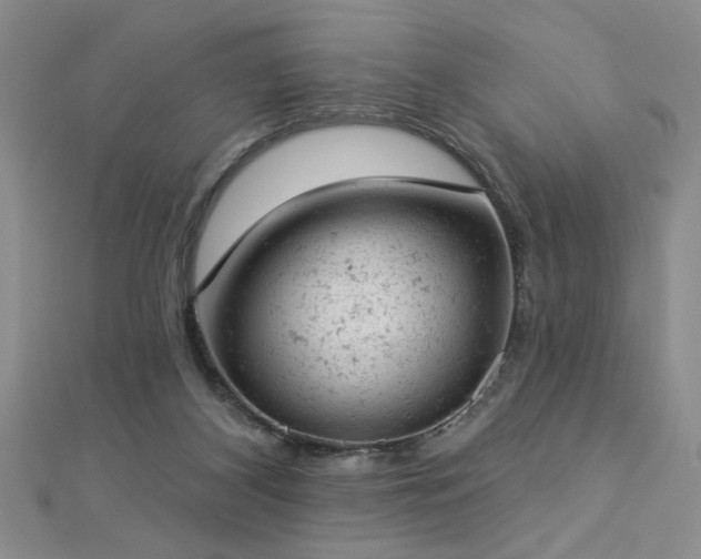 X0000112780116200908201537