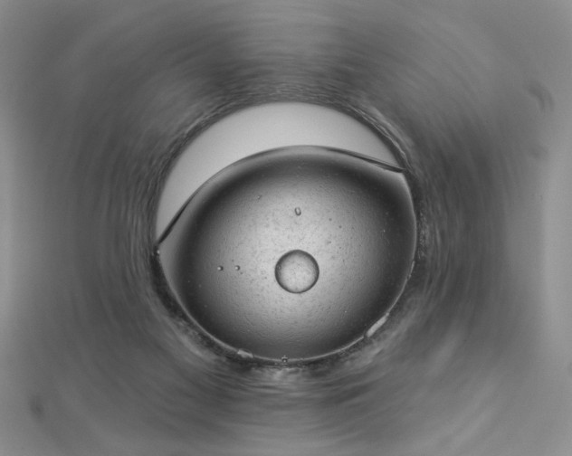 X0000112780117200908201537